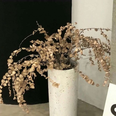 Furry绘画笔刷实用运用兽圈群